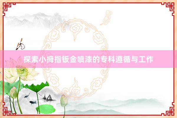 探索小拇指钣金喷漆的专科遵循与工作