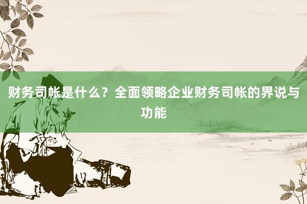 财务司帐是什么？全面领略企业财务司帐的界说与功能